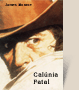 Capa do livro Calúnia Fatal